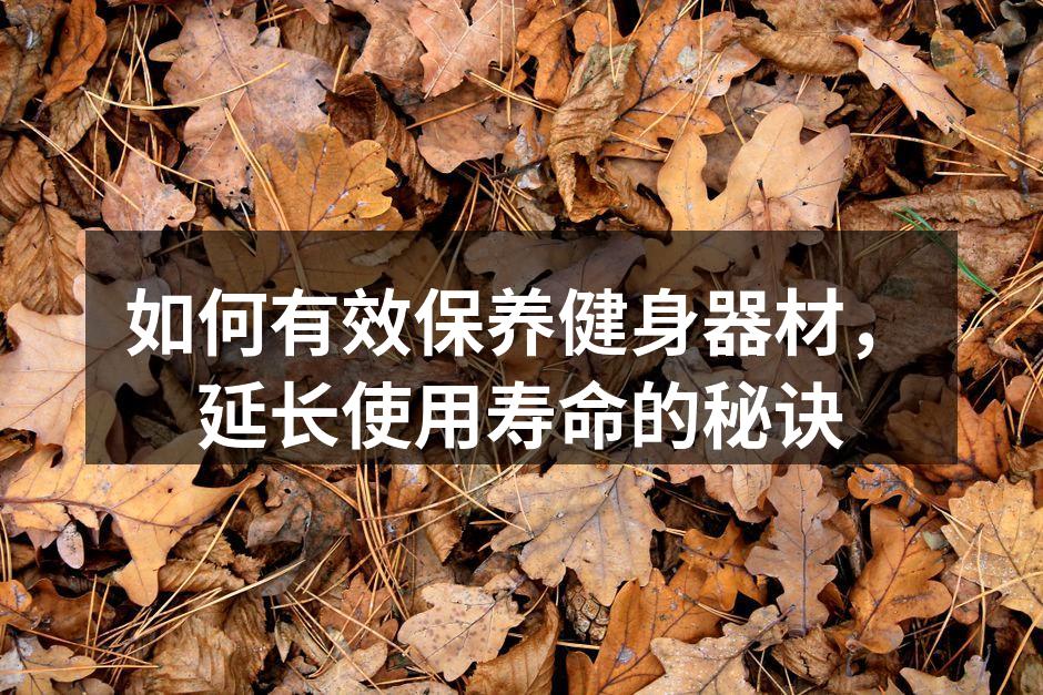 如何有效保养健身器材，延长使用寿命的秘诀