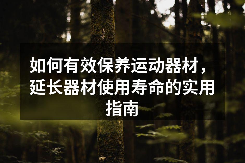 如何有效保养运动器材，延长器材使用寿命的实用指南