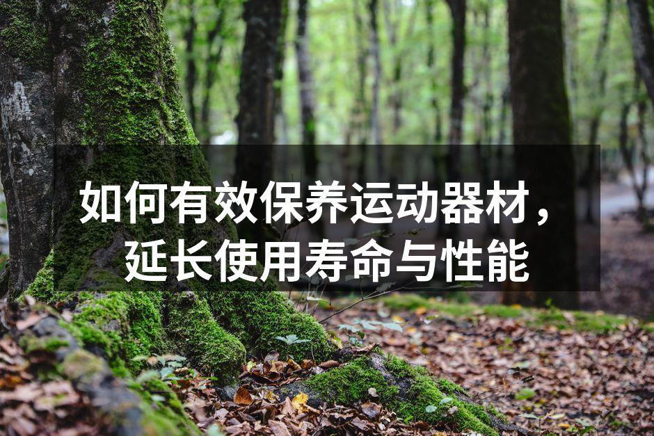 如何有效保养运动器材，延长使用寿命与性能
