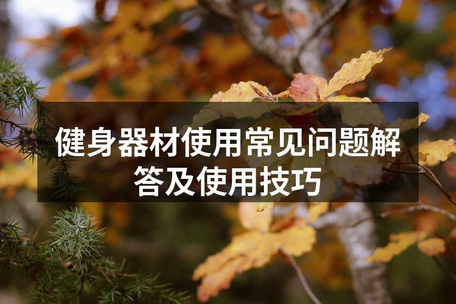 健身器材的多样选择